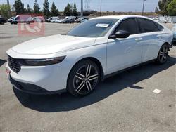 هوندا أكورد